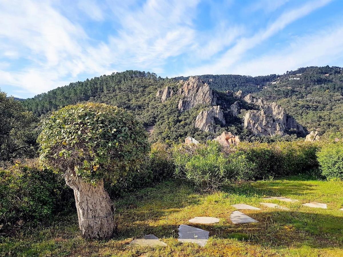 Hébergement de vacances L'esterel Avec Piscine Vue 6 Pers Fréjus